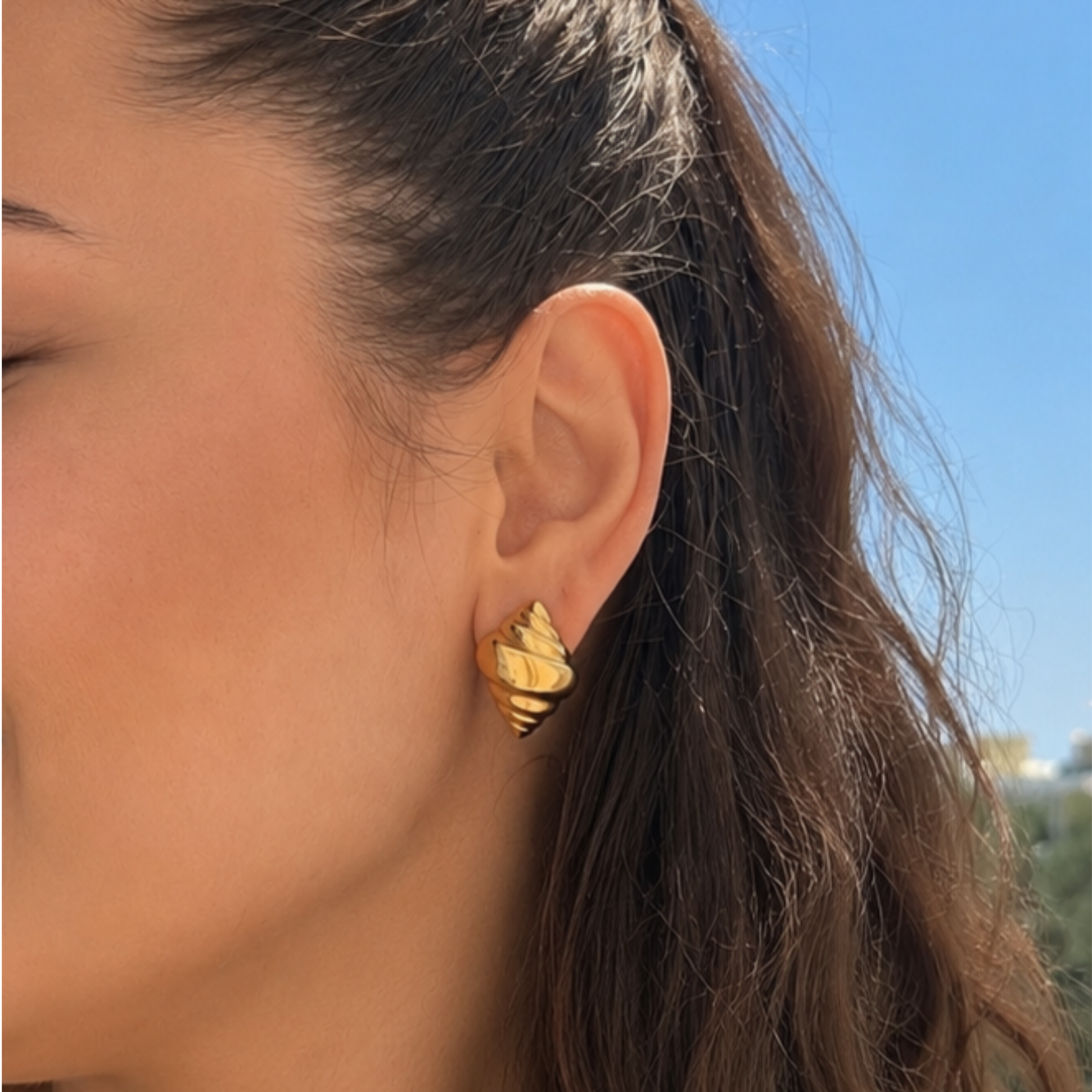 Shell Earrings