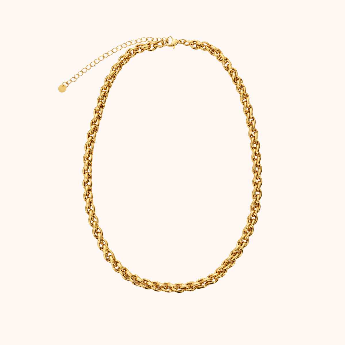 Twisted Chain Necklace