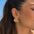 Flat Shells Earrings