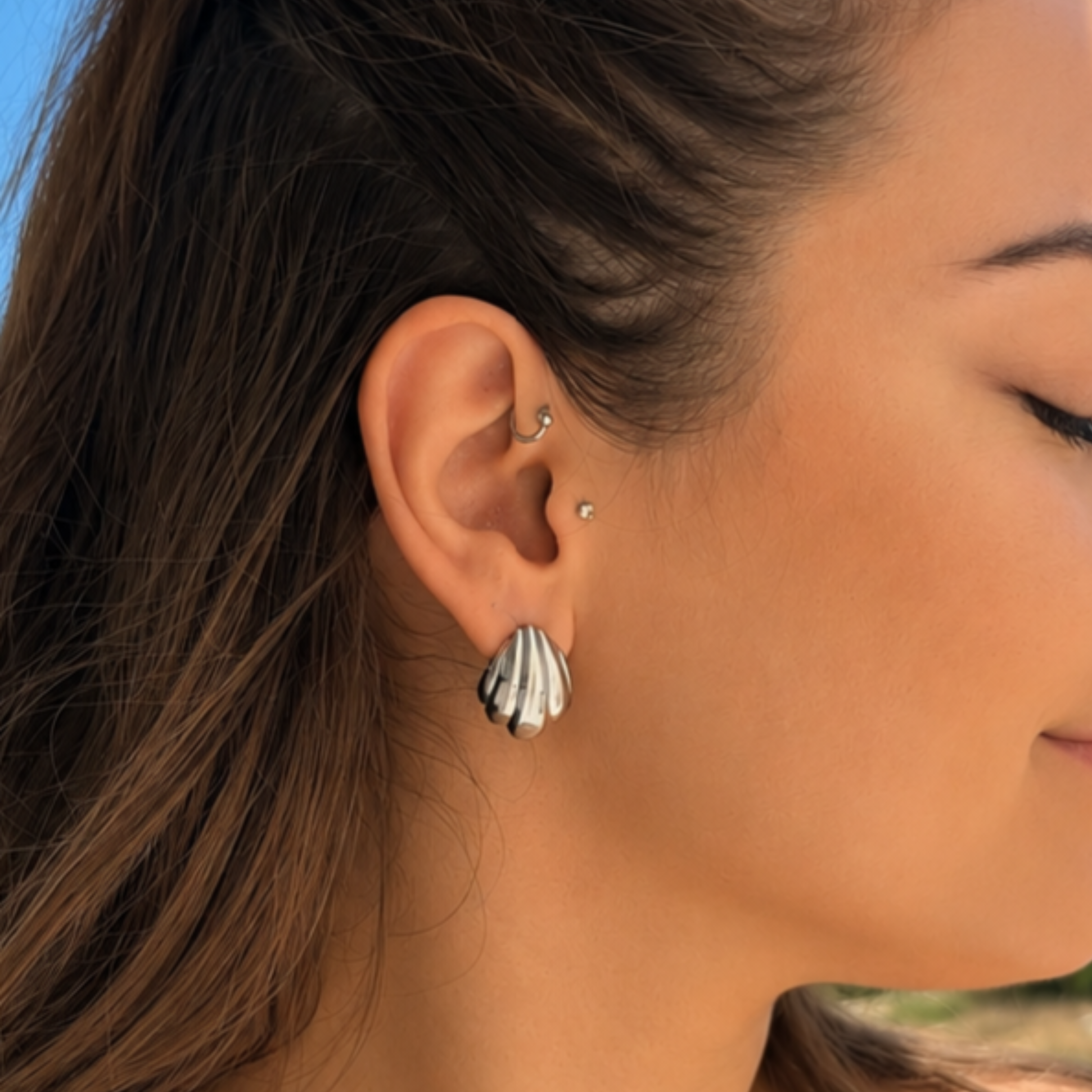 Ribbed Shell Earrings